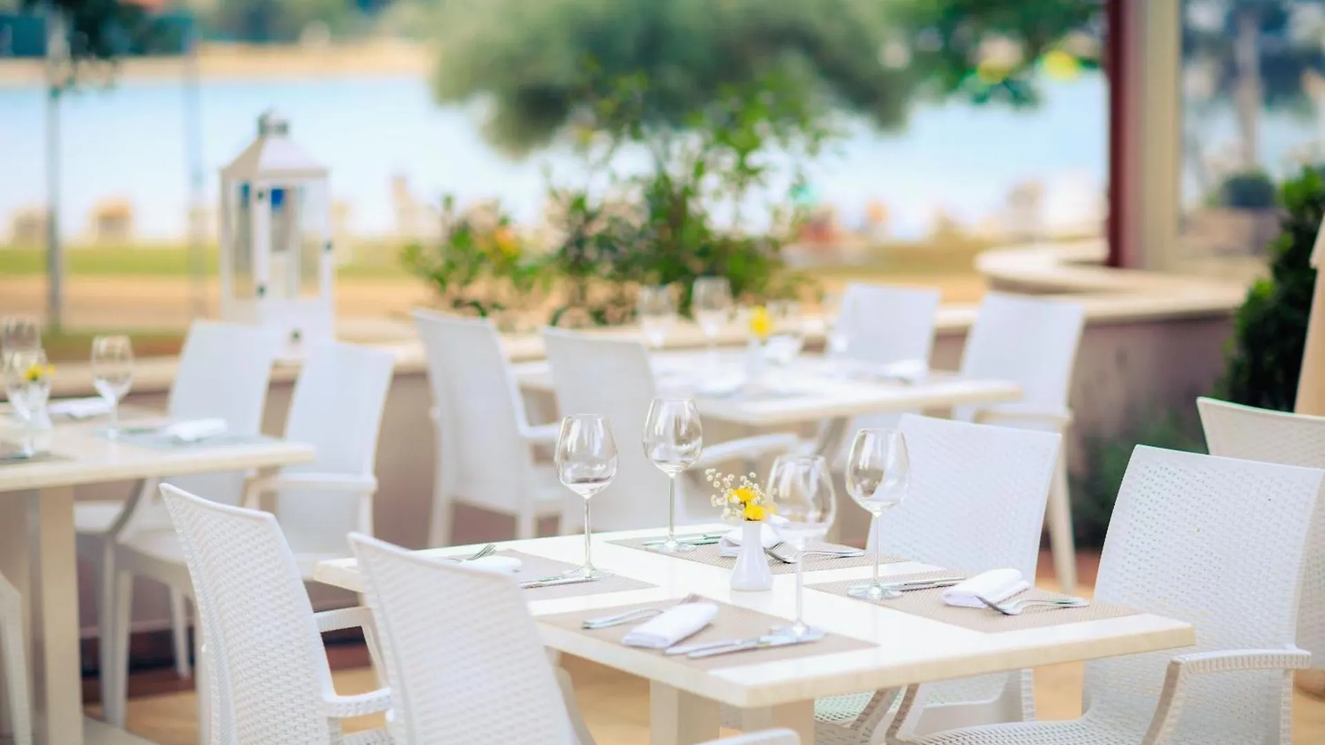 Apartments Amfora Plava Laguna Umag